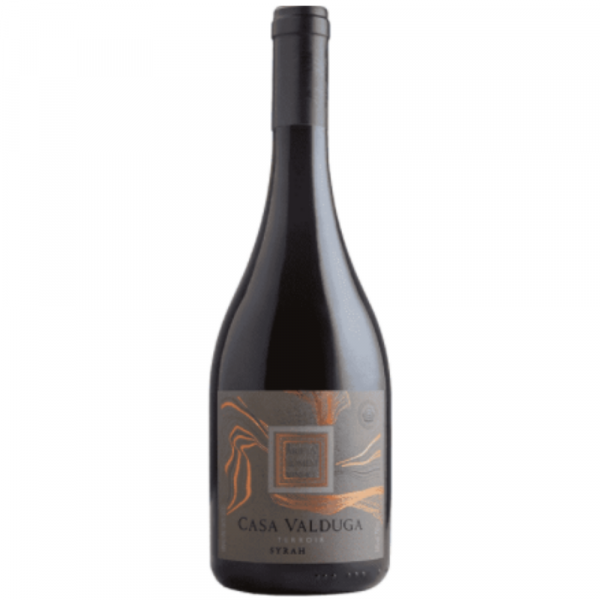 Vinho Tinto Terroir Syrah Casa Valduga